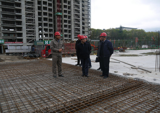 朱軍赴都勻項目調(diào)研指導(dǎo)工作(圖1) 朱軍赴都勻項目調(diào)研指導(dǎo)工作(圖1)